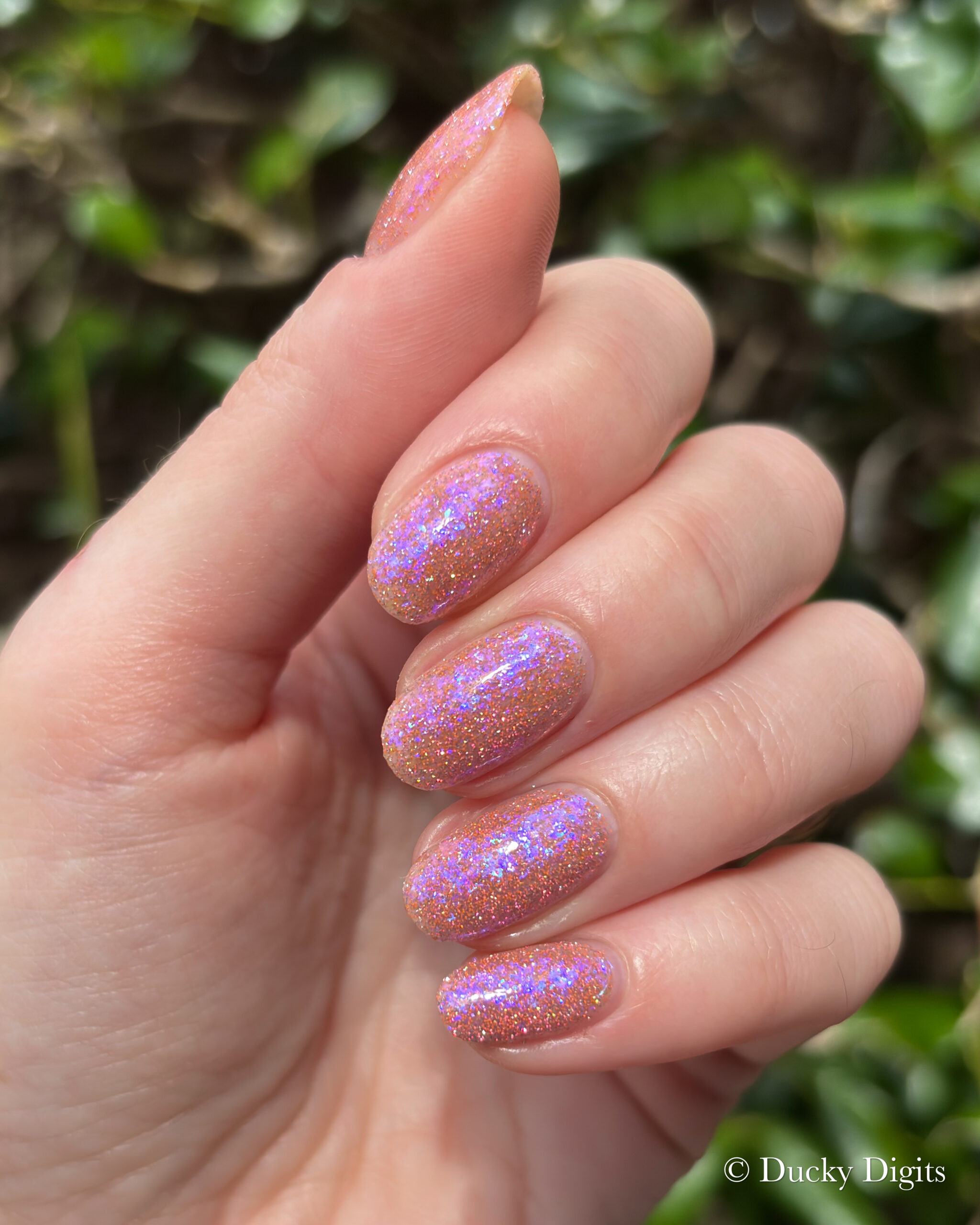 Glisten & Glow: Jewels of Fall Collection img 0102 jpg