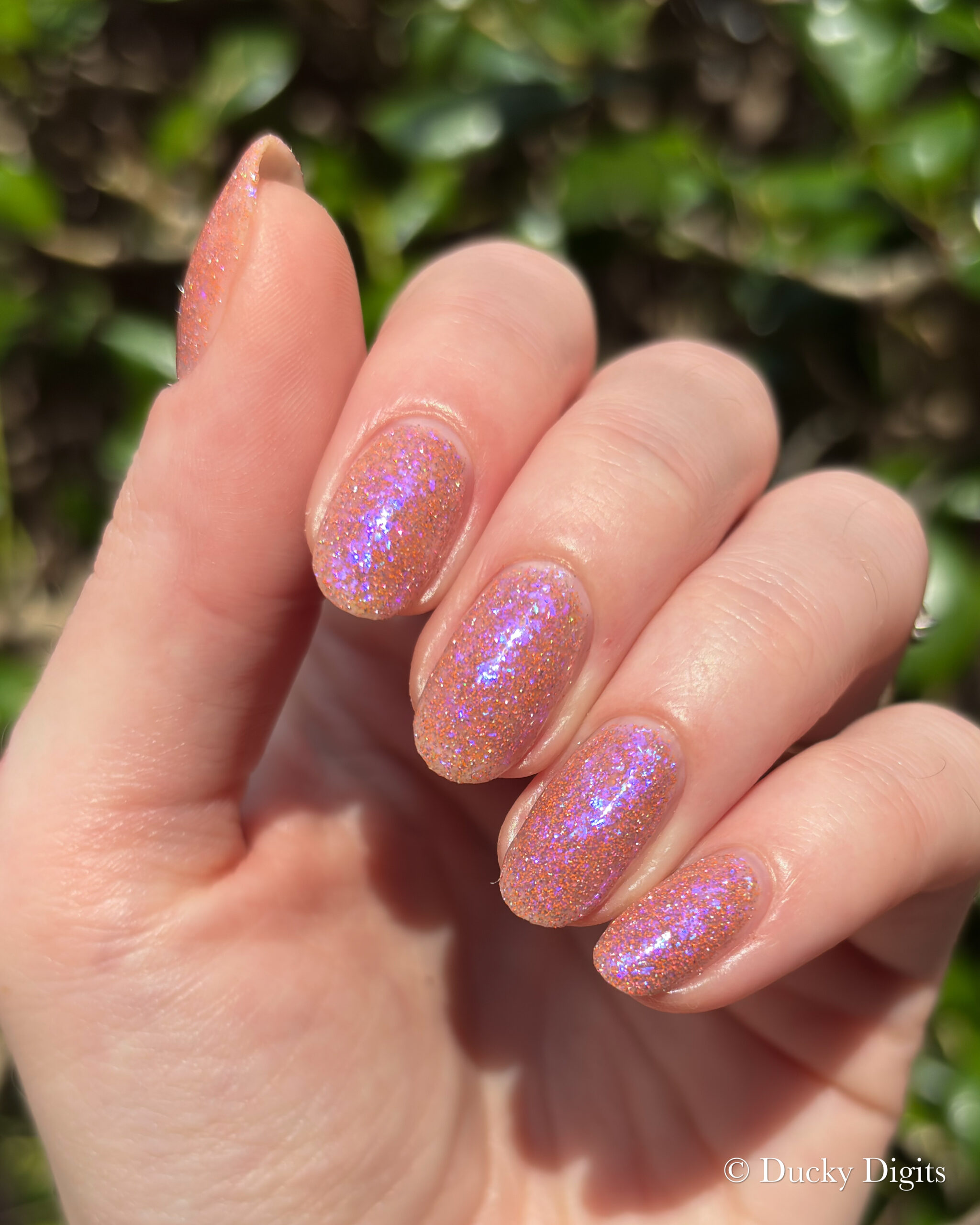 Glisten & Glow: Jewels of Fall Collection img 0114 jpg