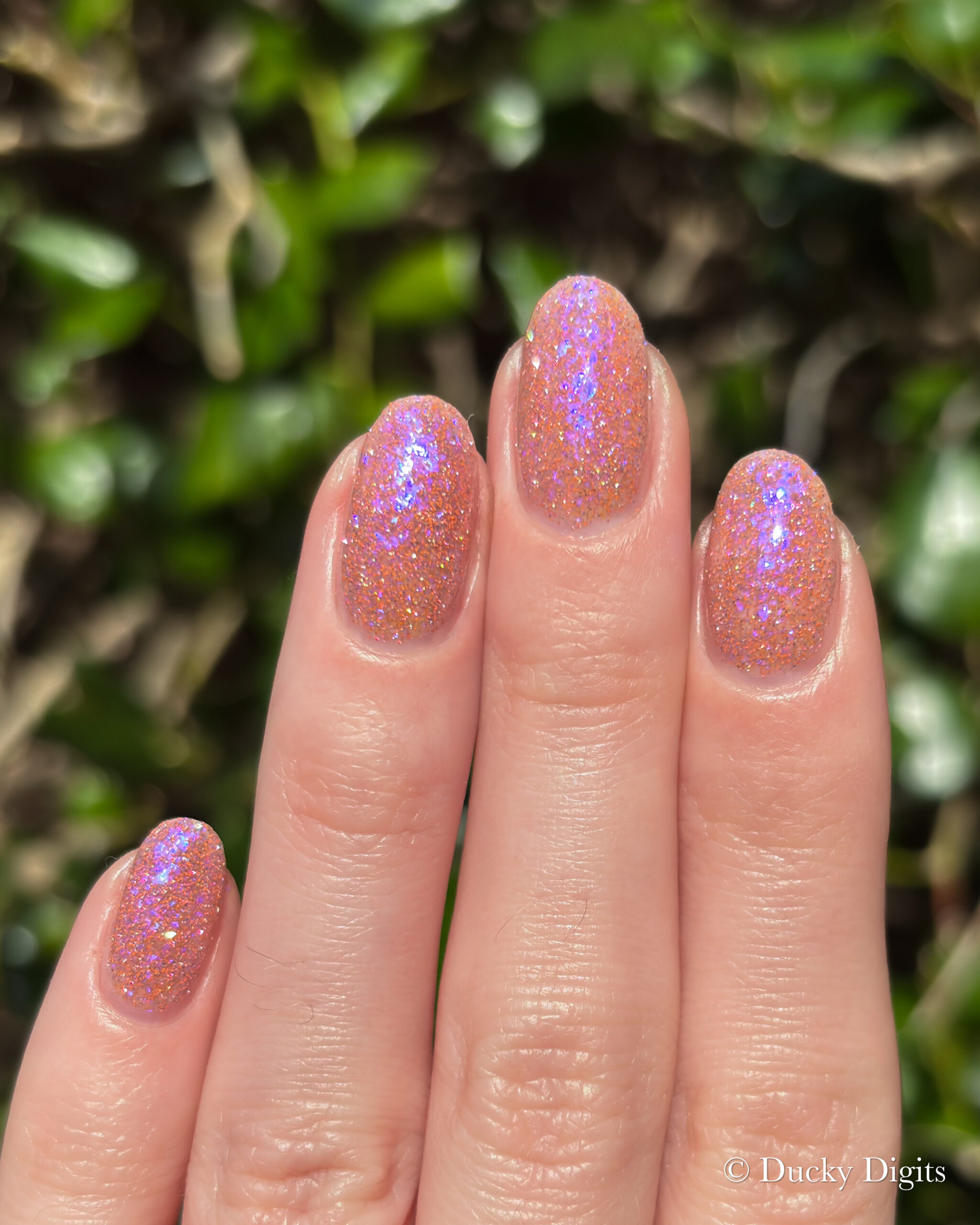 Glisten & Glow: Jewels of Fall Collection img 0116 jpg