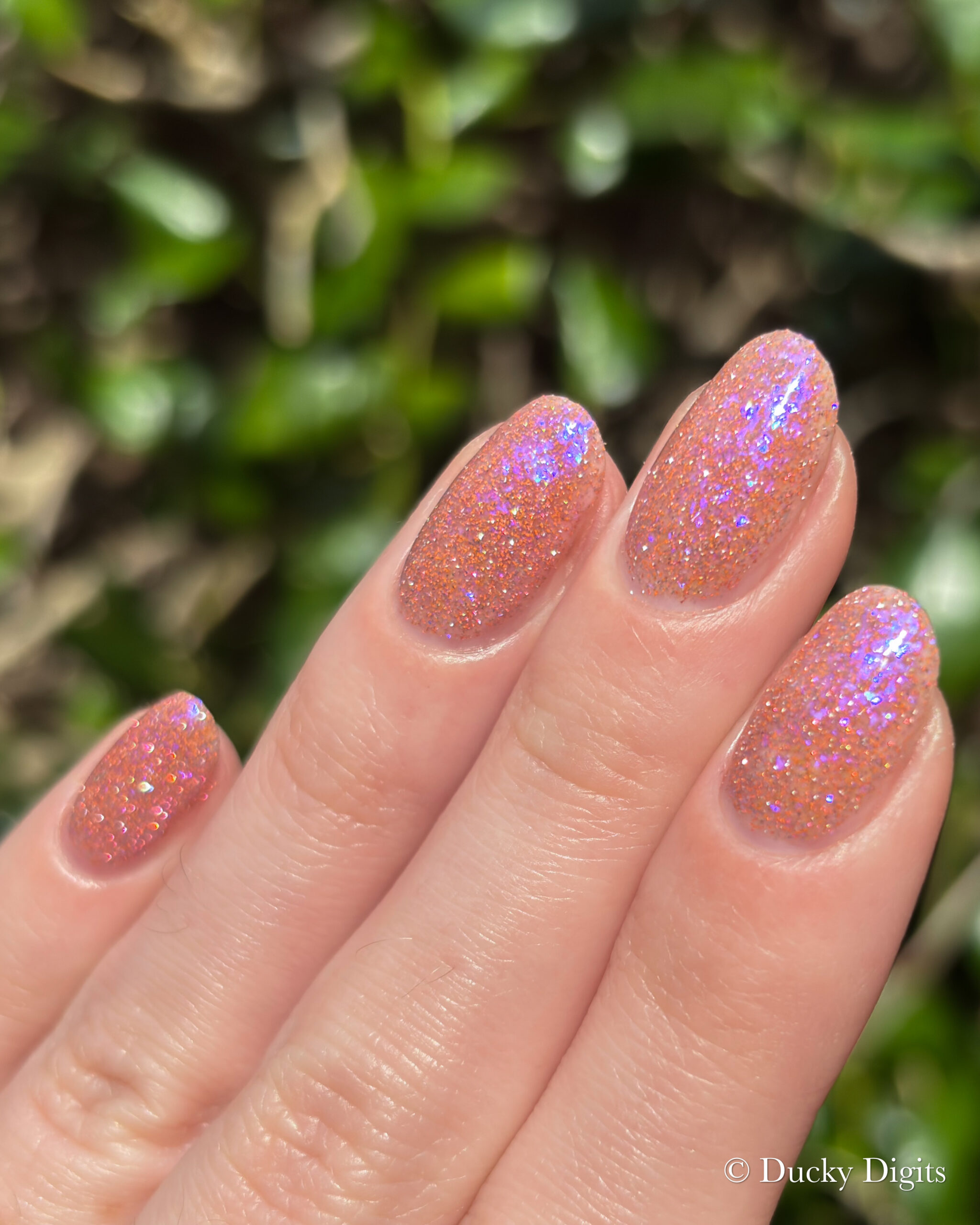 Glisten & Glow: Jewels of Fall Collection img 0117 jpg