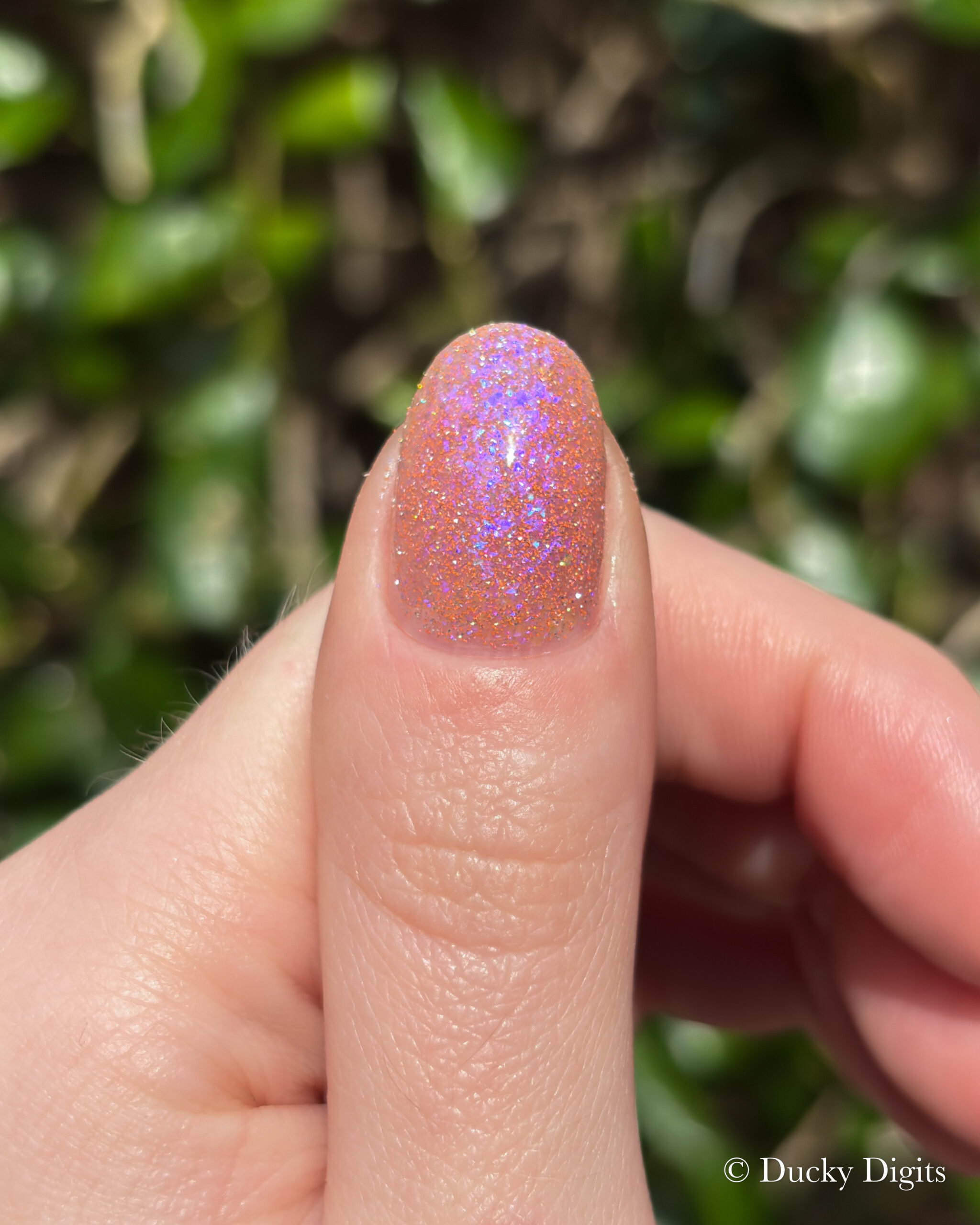 Glisten & Glow: Jewels of Fall Collection img 0118 jpg