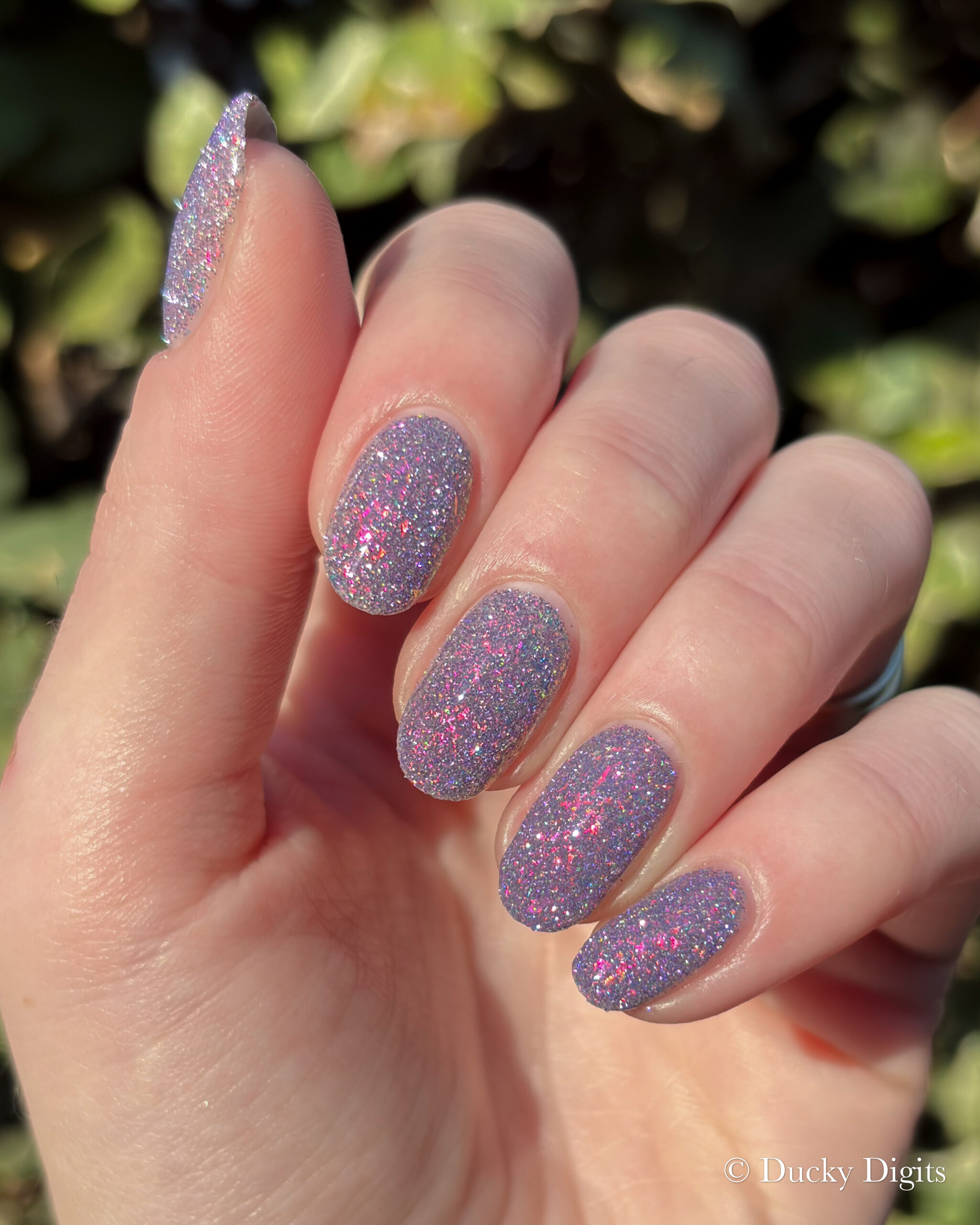 Glisten & Glow: Jewels of Fall Collection img 0166 jpg