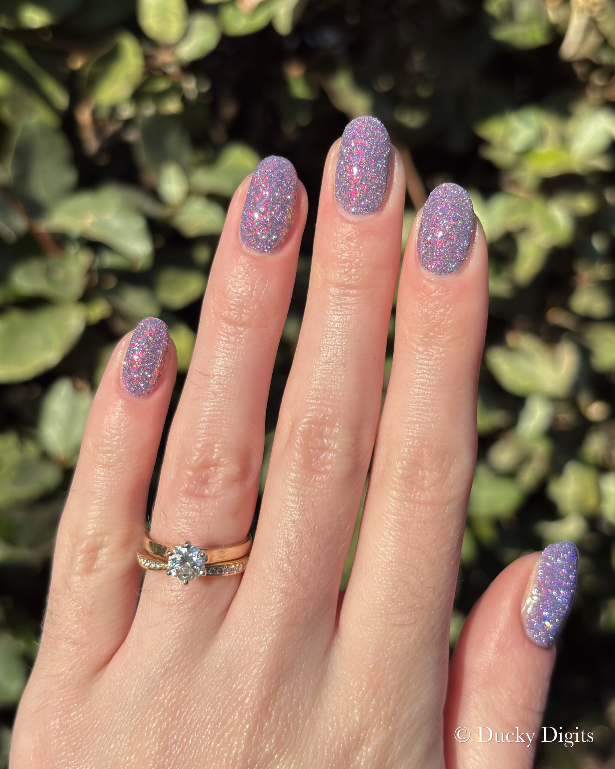 Glisten & Glow: Jewels of Fall Collection img 0168 jpg