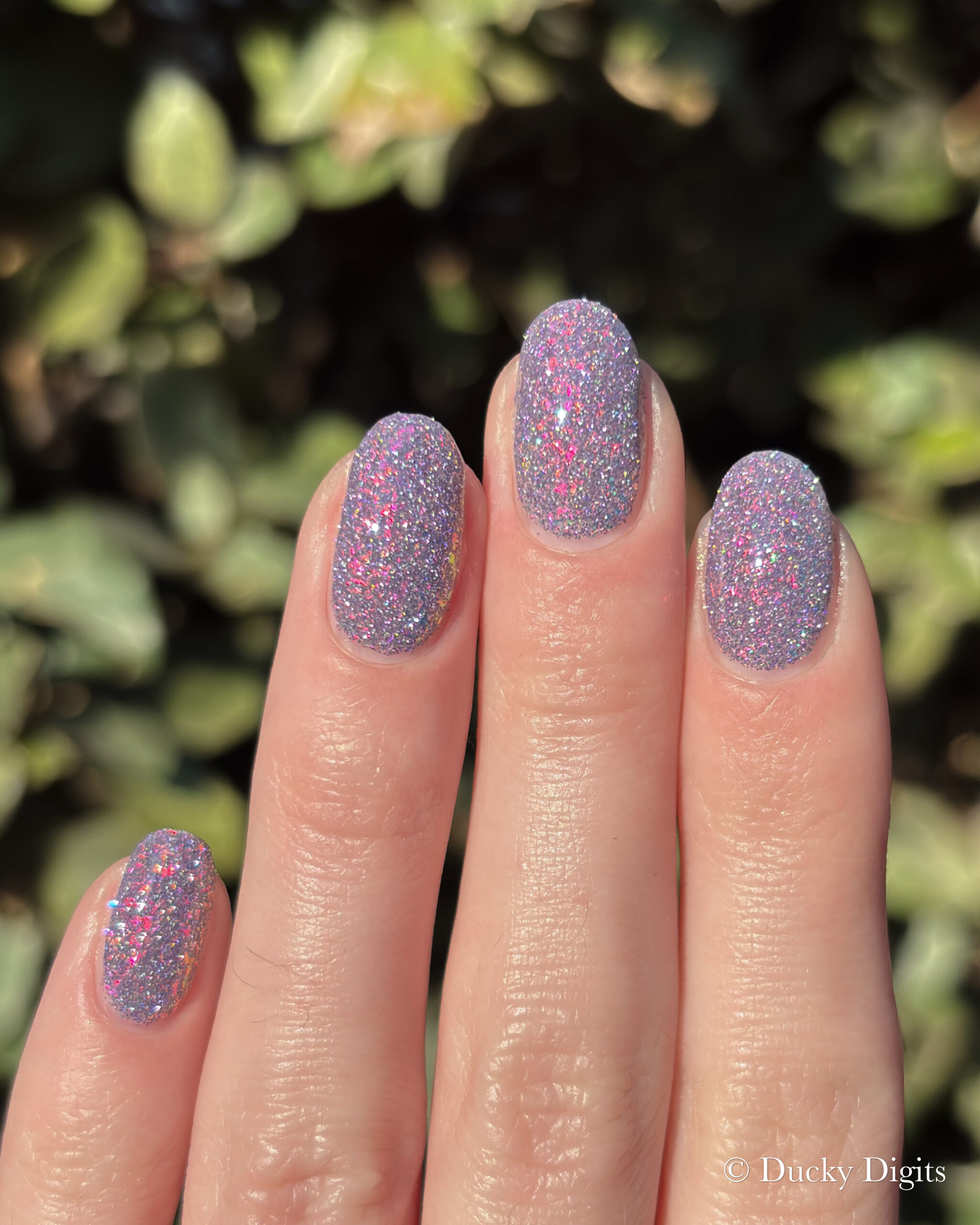 Glisten & Glow: Jewels of Fall Collection img 0170 jpg