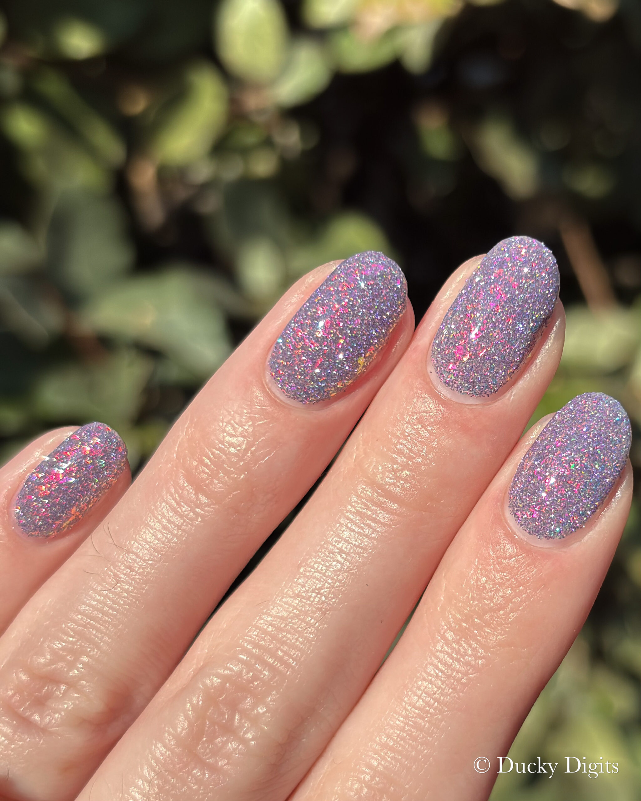 Glisten & Glow: Jewels of Fall Collection img 0175 jpg