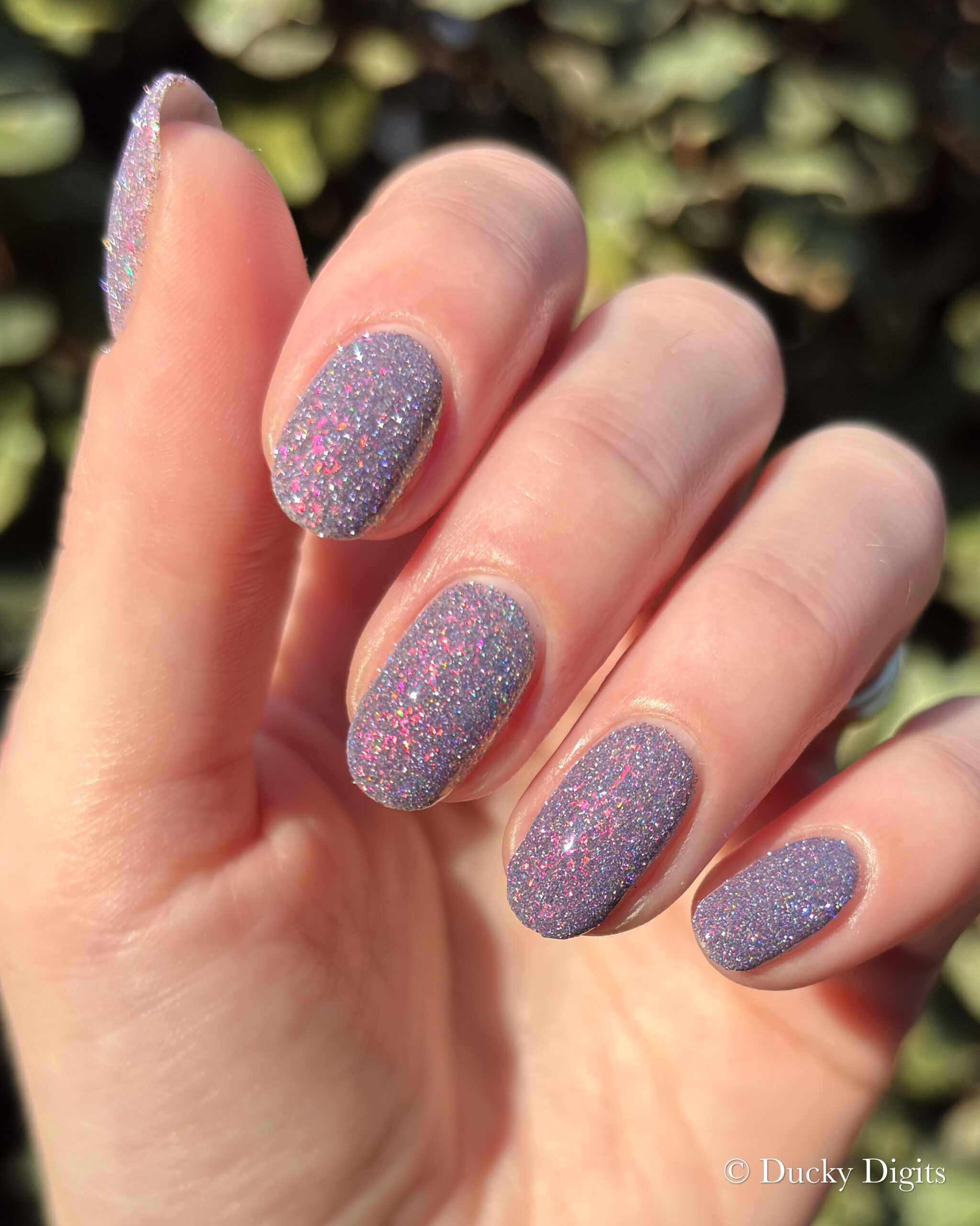 Glisten & Glow: Jewels of Fall Collection img 0178 jpg