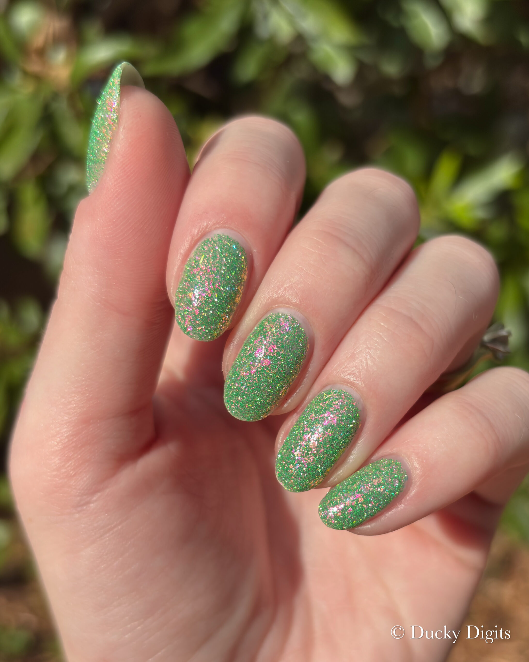 Glisten & Glow: Jewels of Fall Collection img 0427 jpg