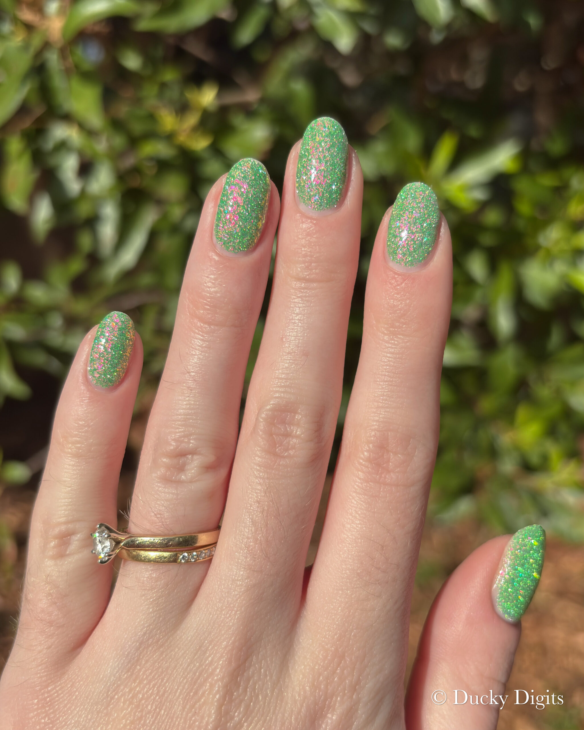 Glisten & Glow: Jewels of Fall Collection img 0429 jpg