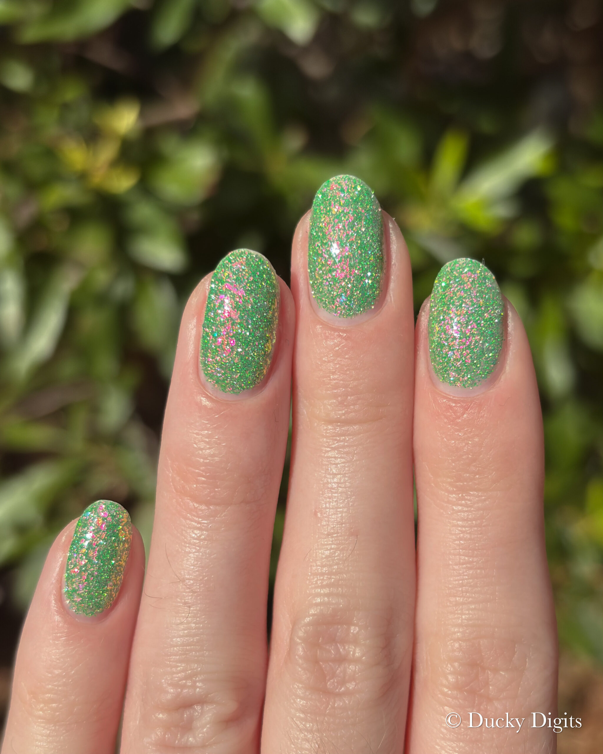 Glisten & Glow: Jewels of Fall Collection img 0431 jpg