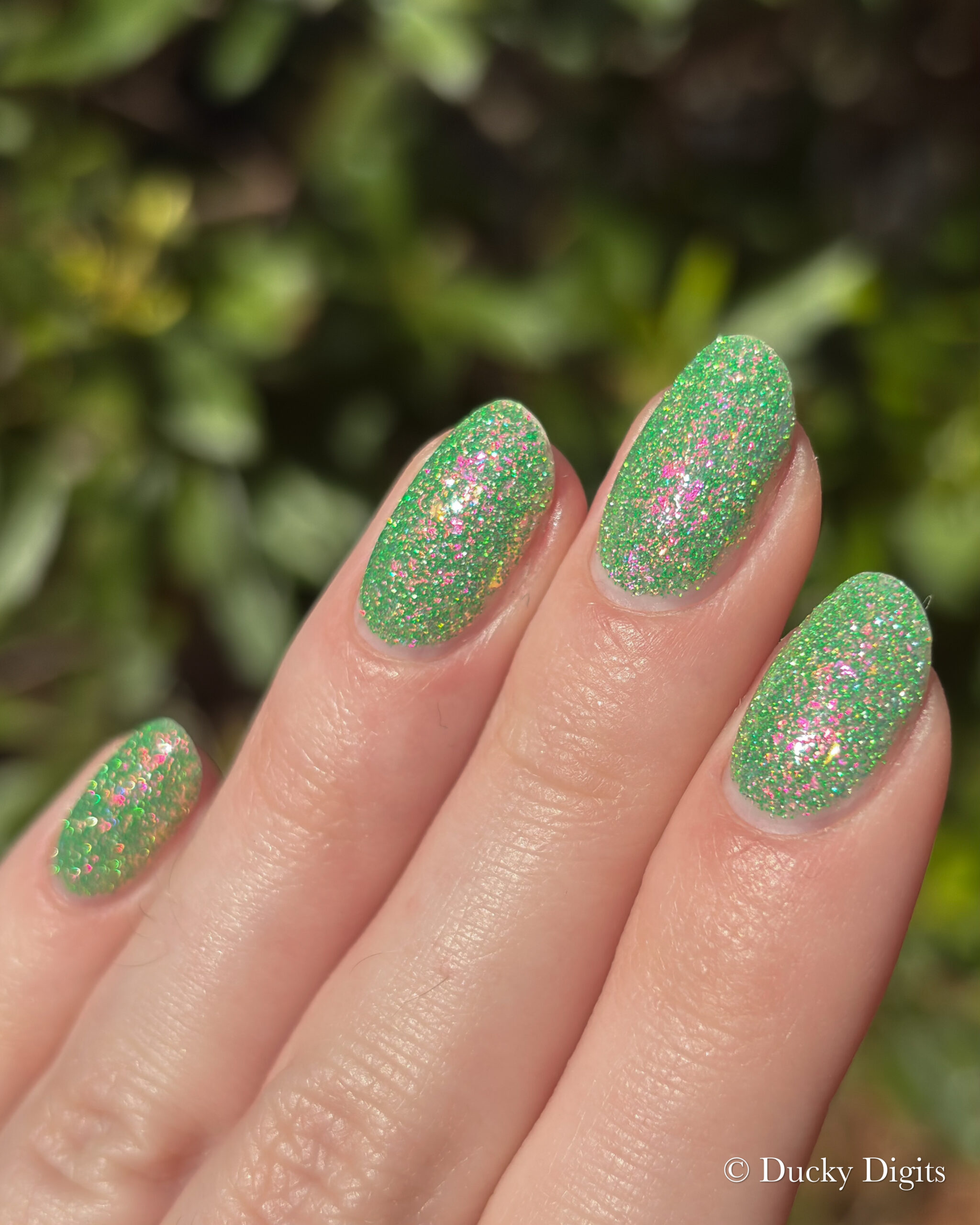 Glisten & Glow: Jewels of Fall Collection img 0432 jpg