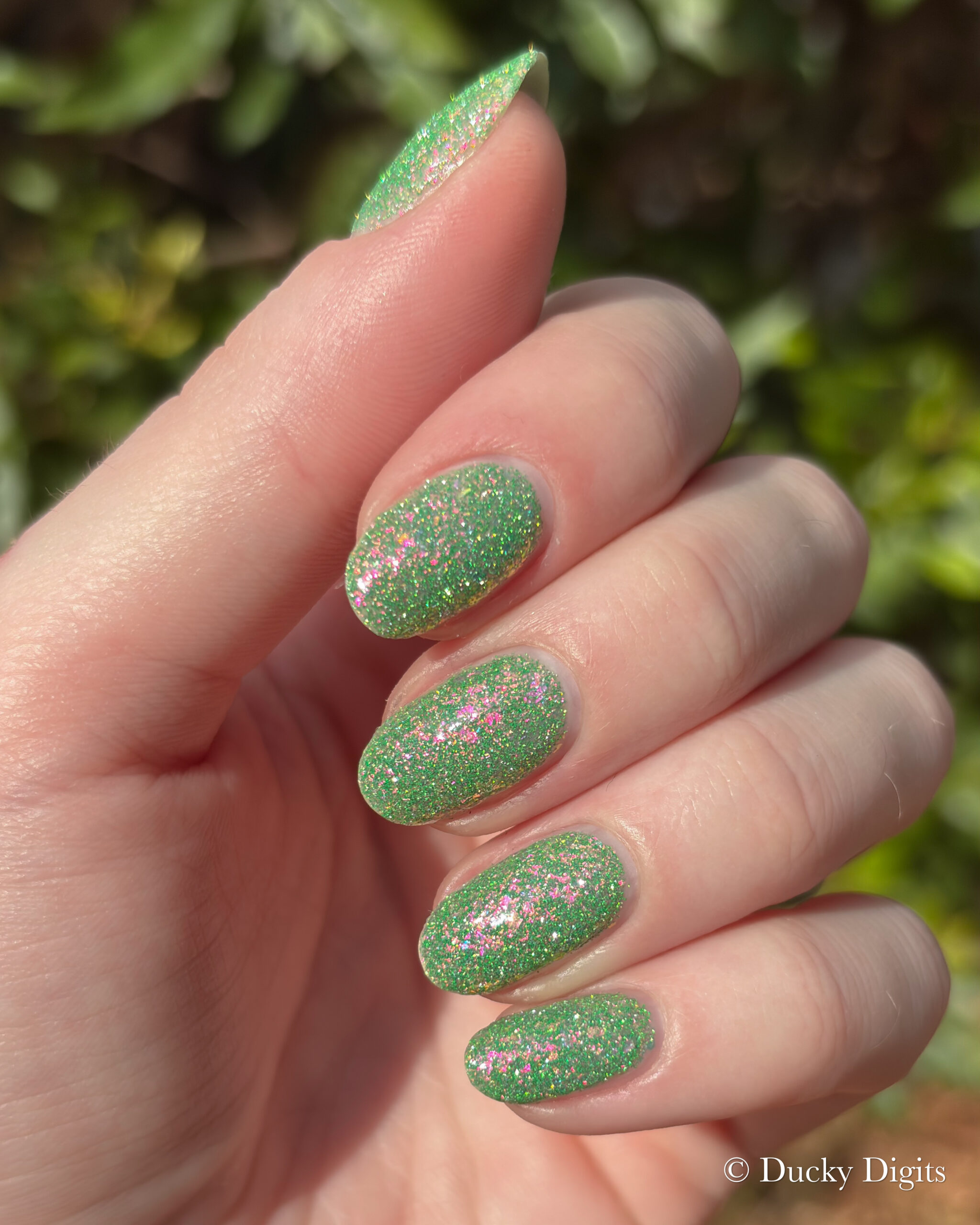 Glisten & Glow: Jewels of Fall Collection img 0435 jpg