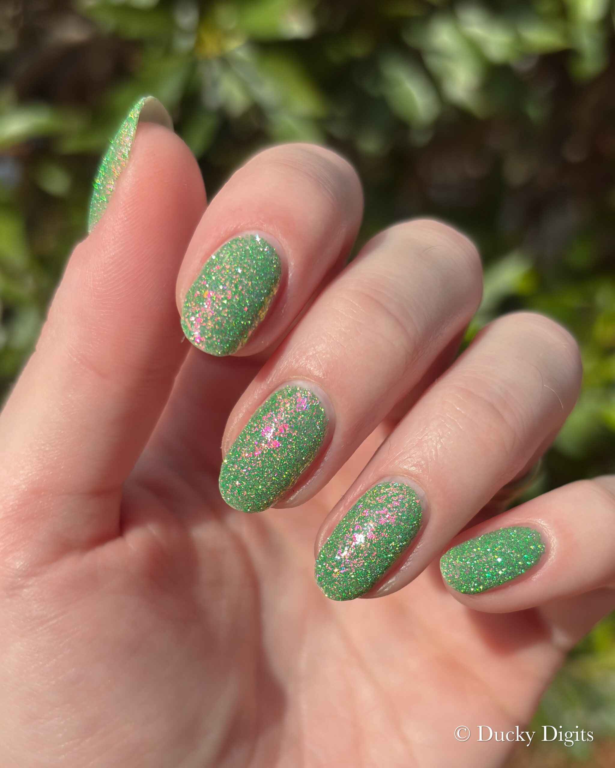 Glisten & Glow: Jewels of Fall Collection img 0437 jpg