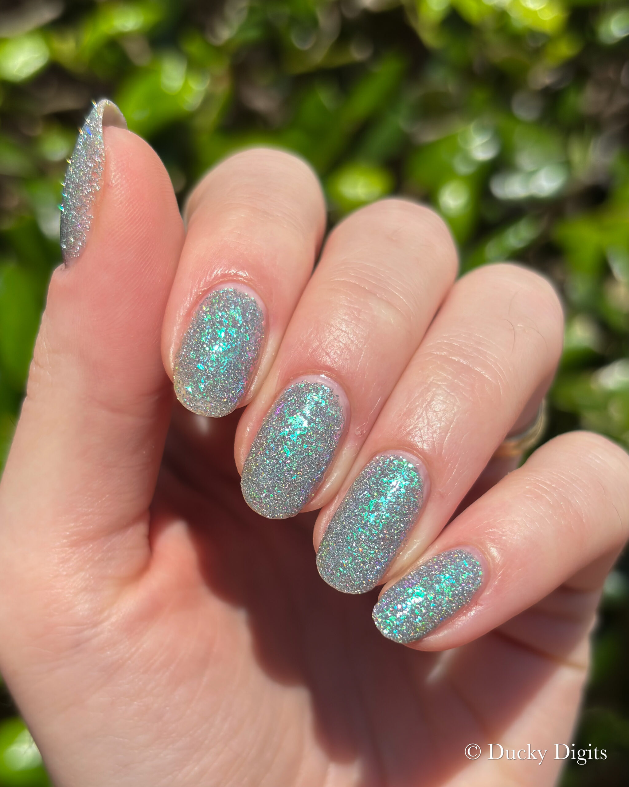 Glisten & Glow: Jewels of Fall Collection img 9921 jpg