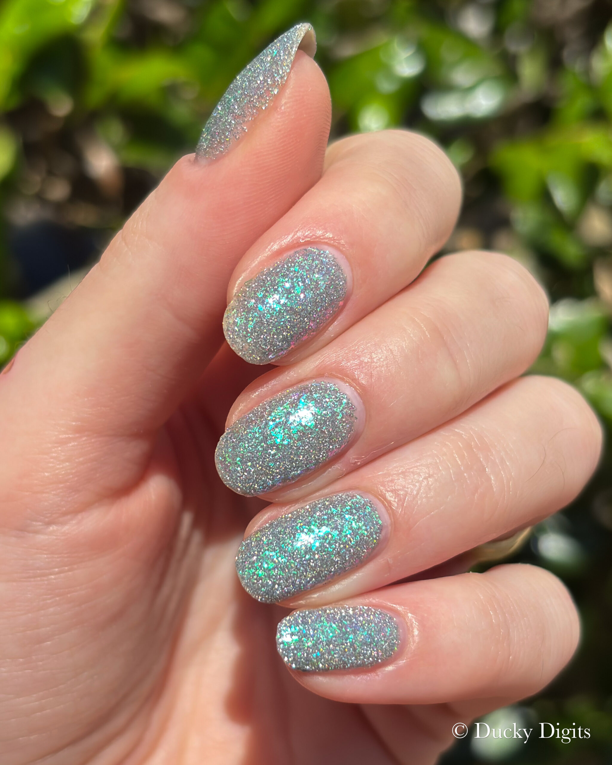 Glisten & Glow: Jewels of Fall Collection img 9926 jpg