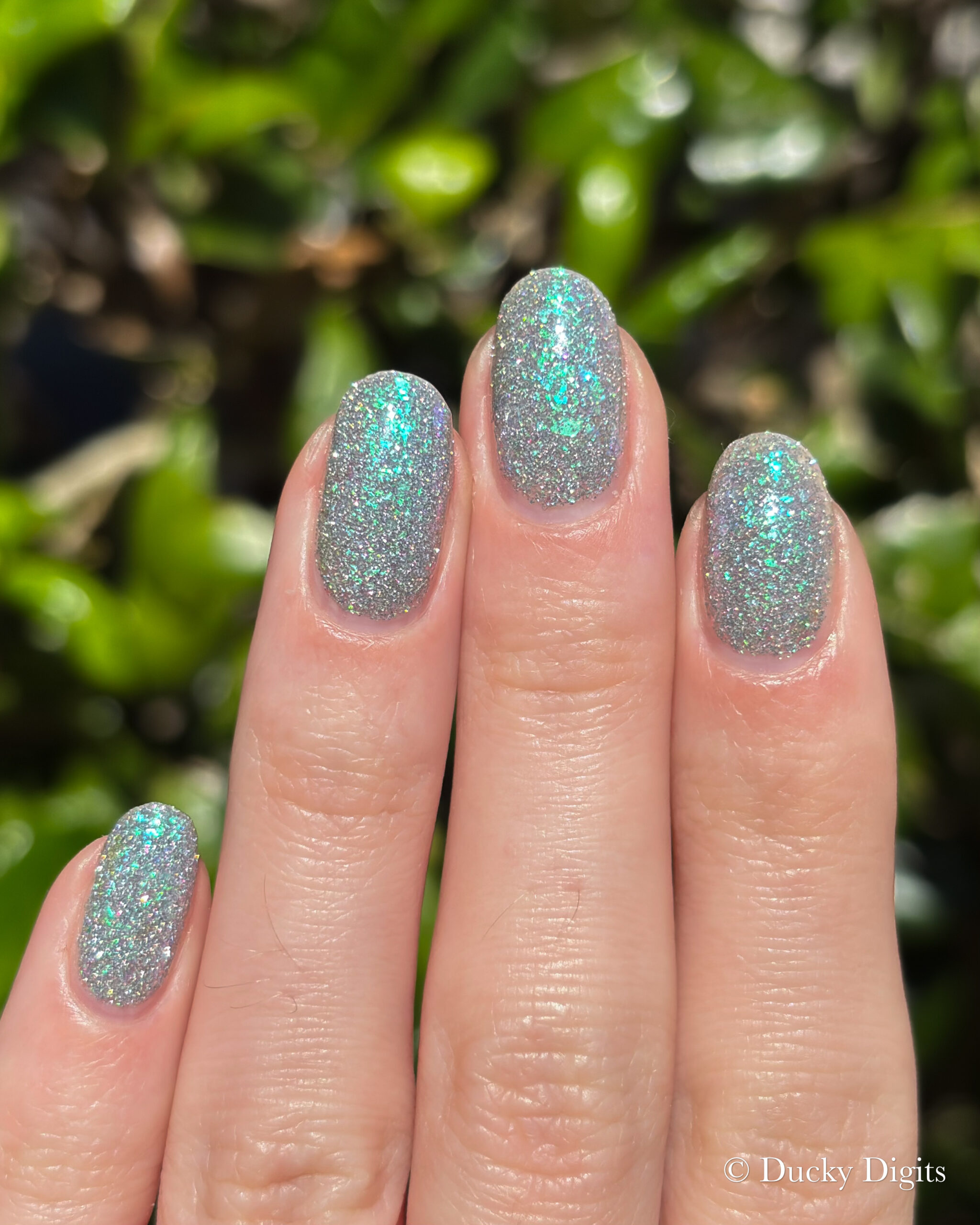 Glisten & Glow: Jewels of Fall Collection img 9928 jpg