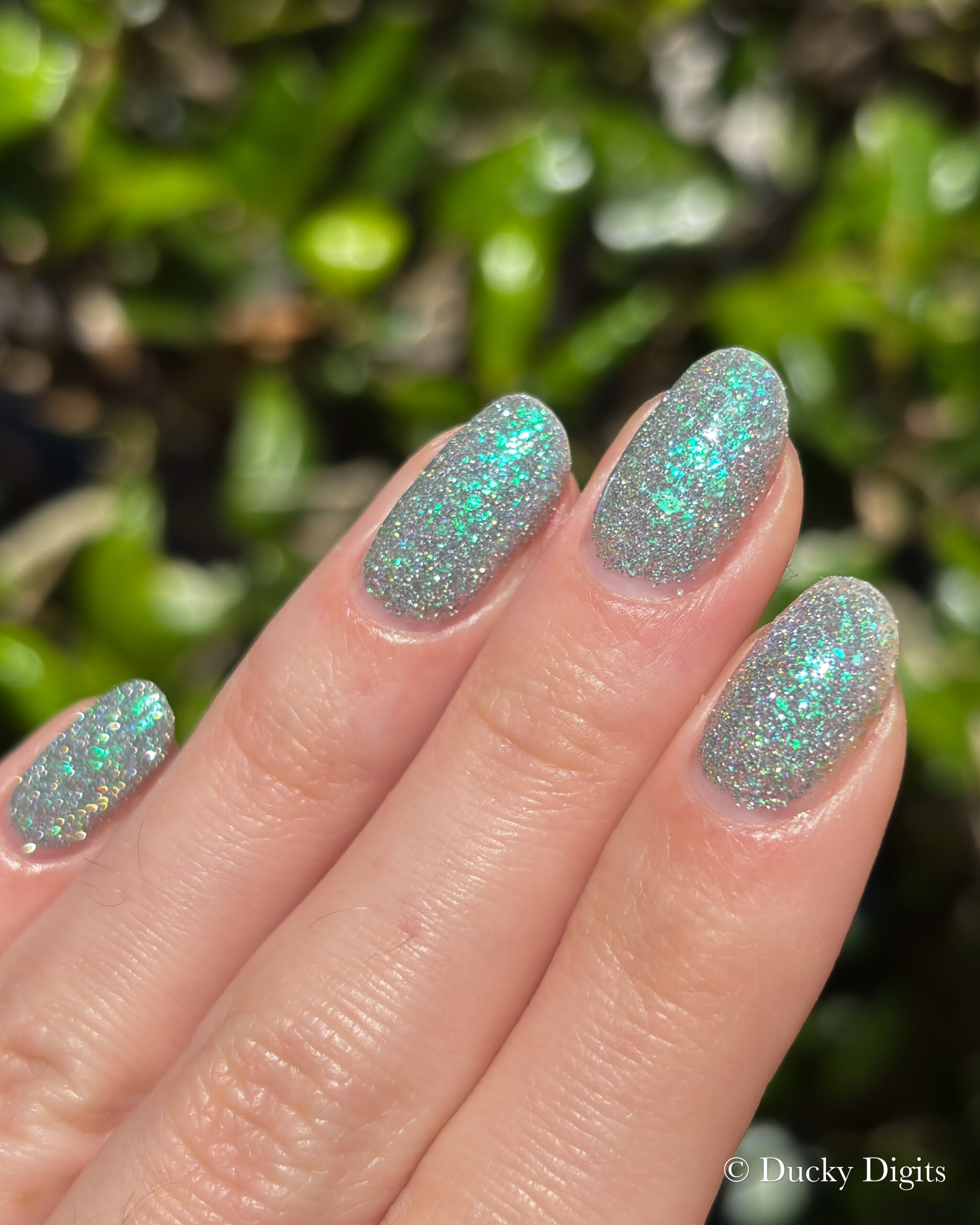 Glisten & Glow: Jewels of Fall Collection img 9933 jpg