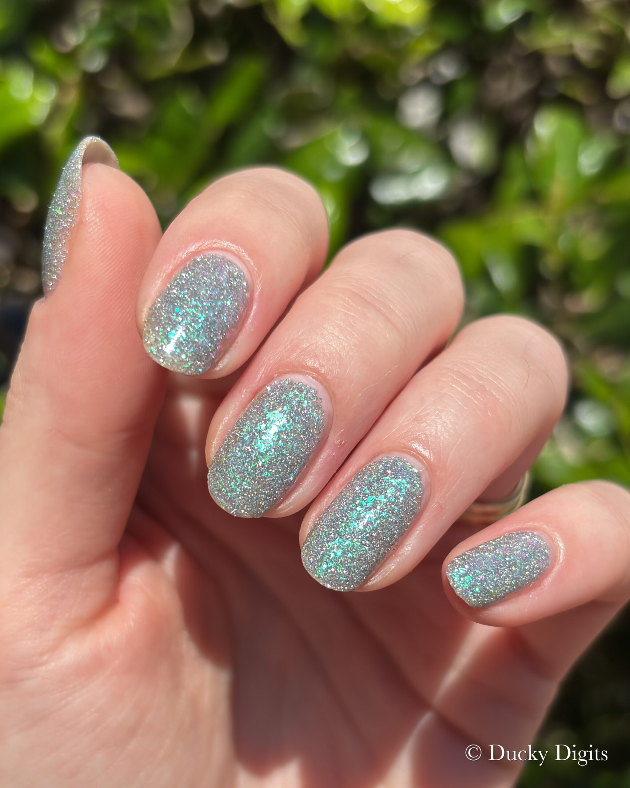 Glisten & Glow: Jewels of Fall Collection img 9938 jpg