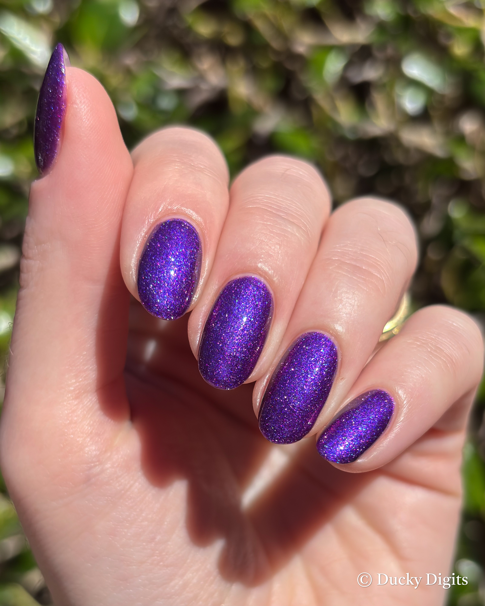 Glisten & Glow November Offerings img 2506 jpg 2