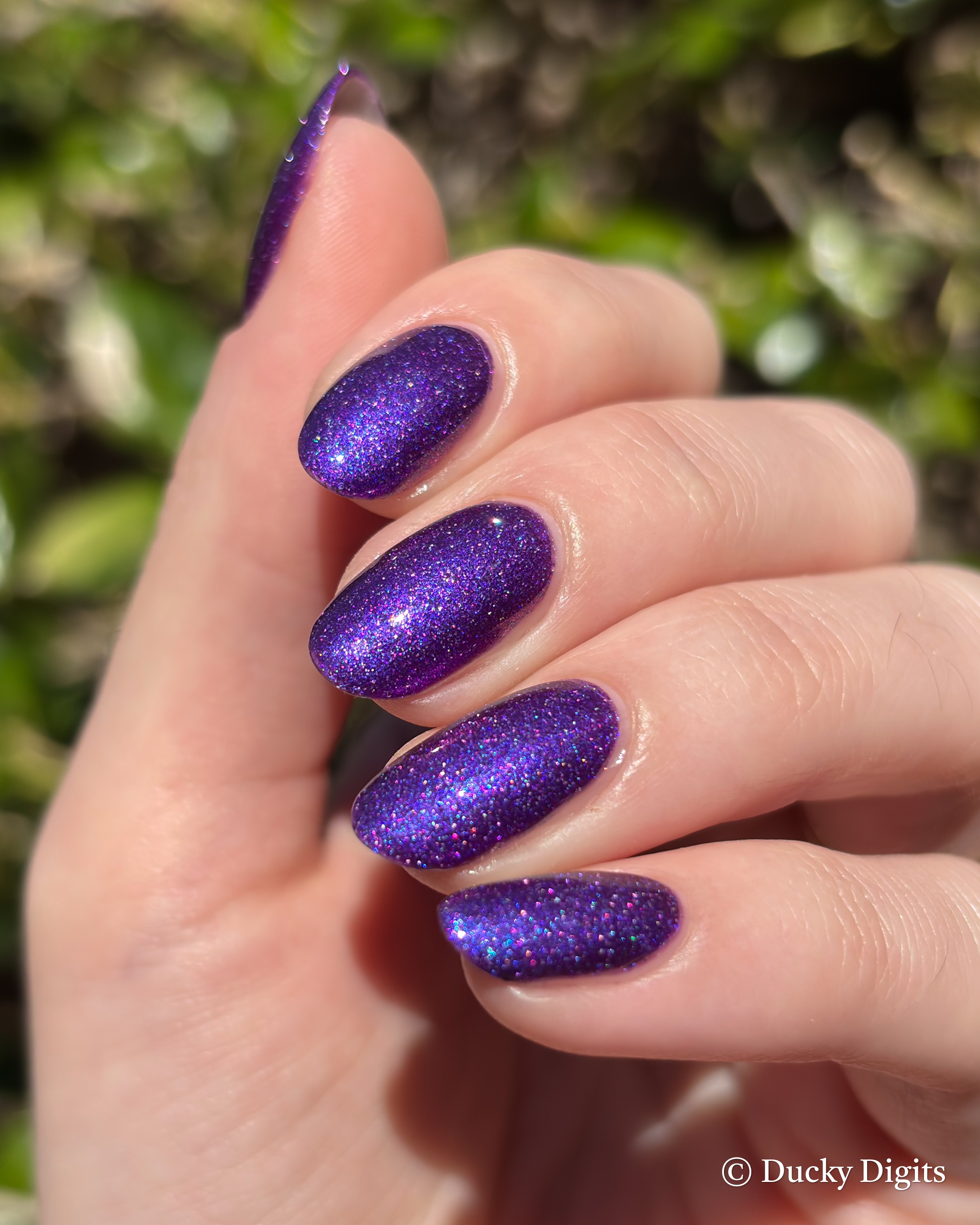 Glisten & Glow November Offerings img 2514 jpg 2