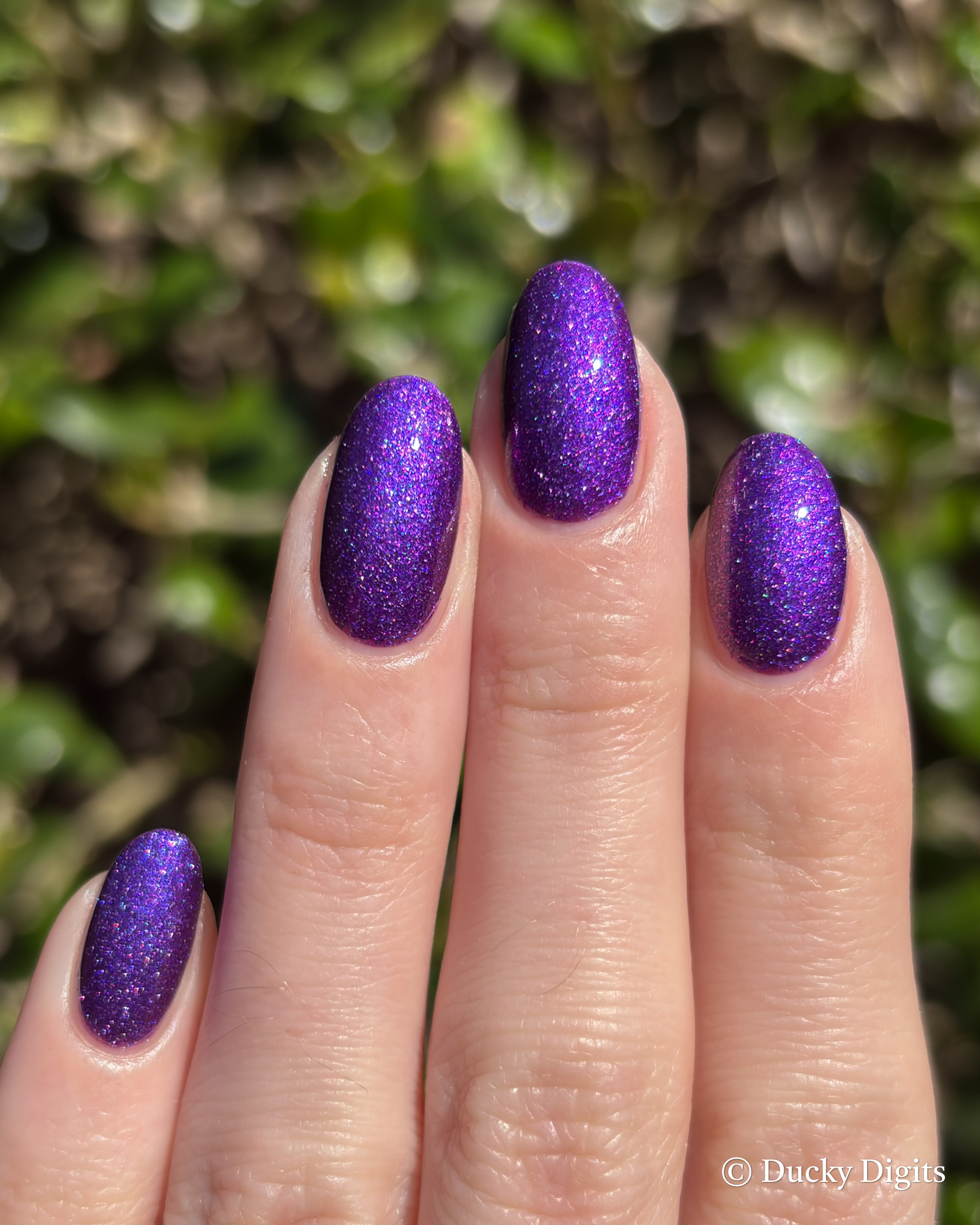 Glisten & Glow November Offerings img 2524 jpg 2