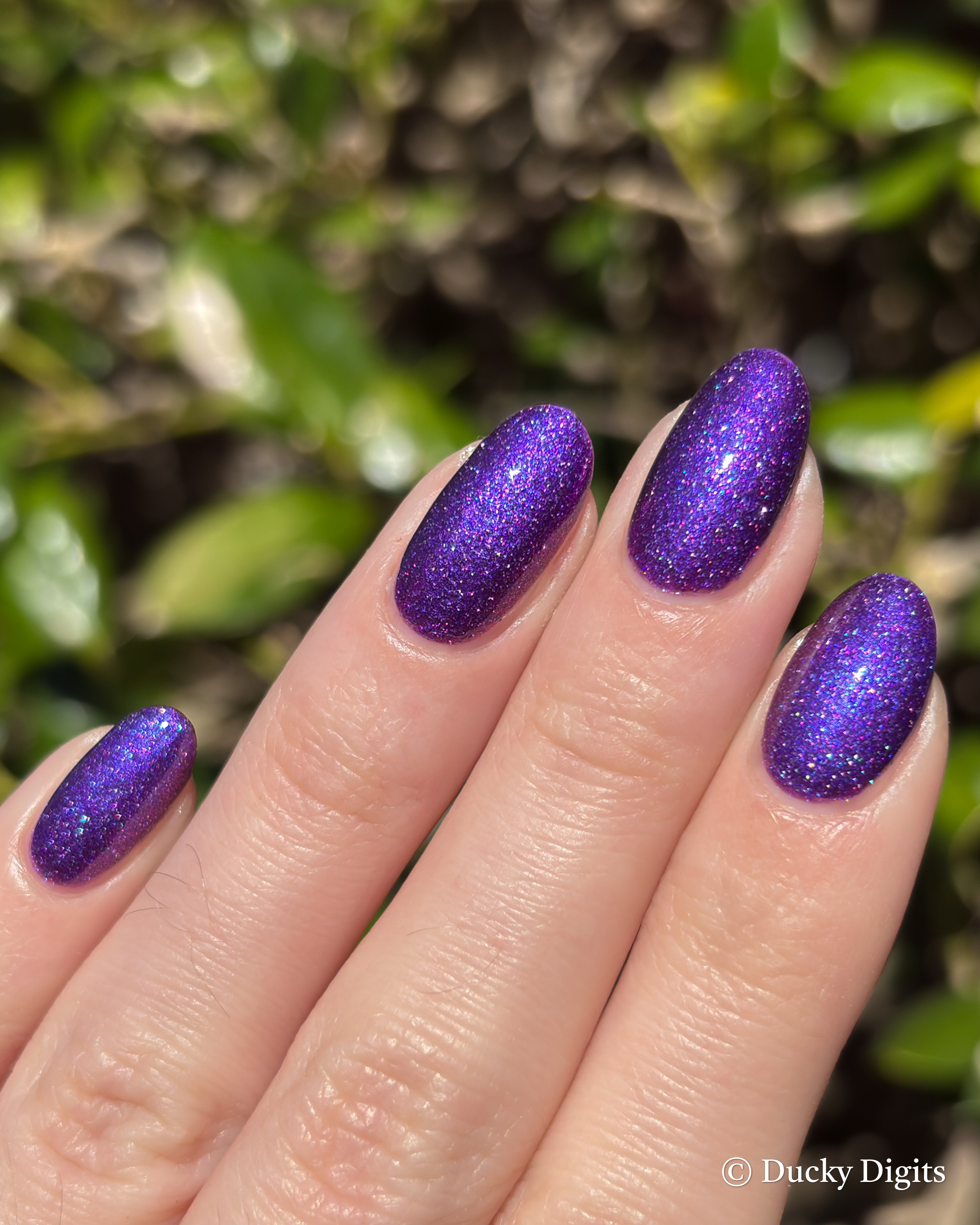 Glisten & Glow November Offerings img 2529 jpg 2