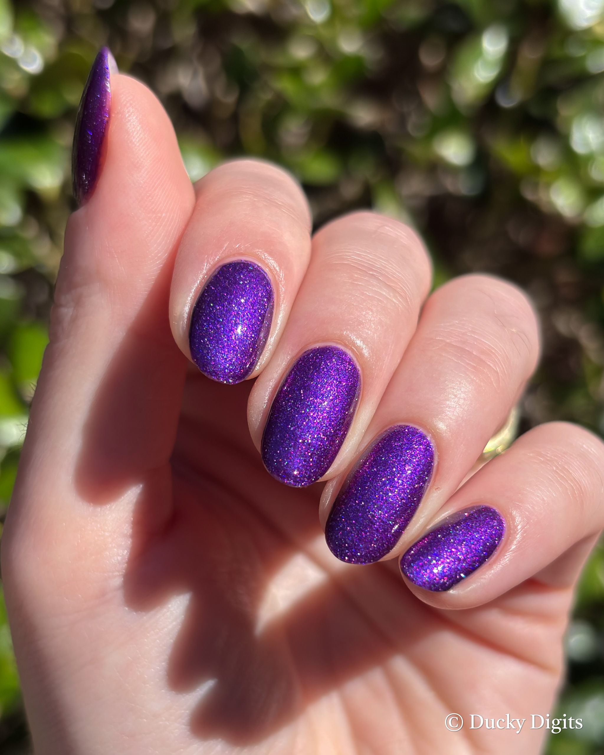 Glisten & Glow November Offerings img 2543 jpg 2