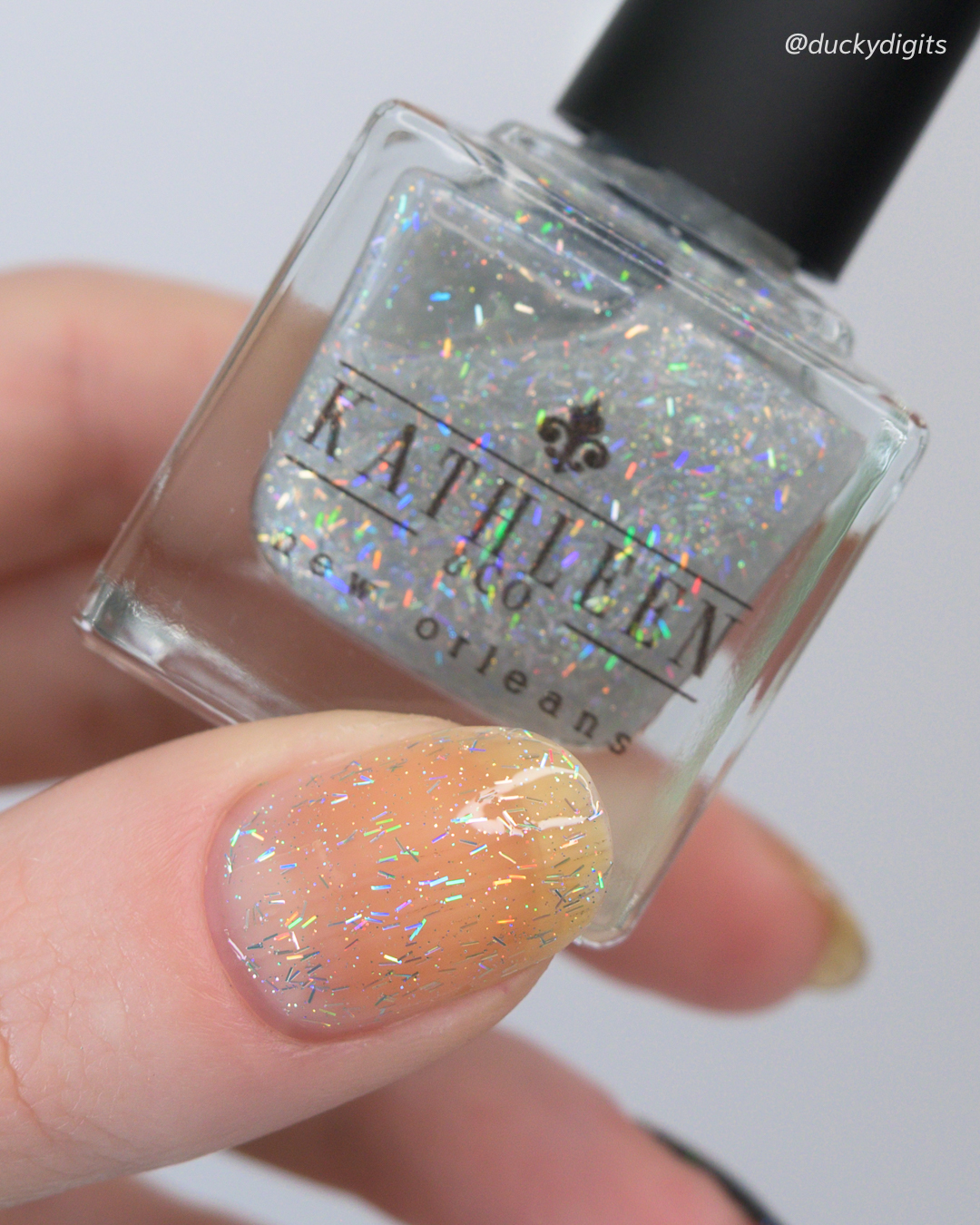 Kathleen & Co: Mardi Gras 2026 Collection bourbon studio 14