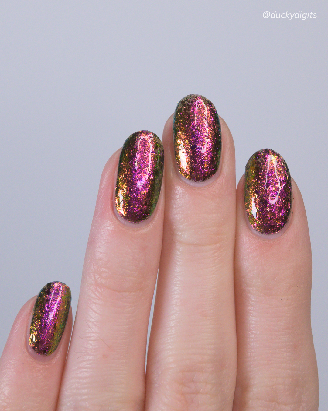 Kathleen & Co: Mardi Gras 2026 Collection mardigras studio 07