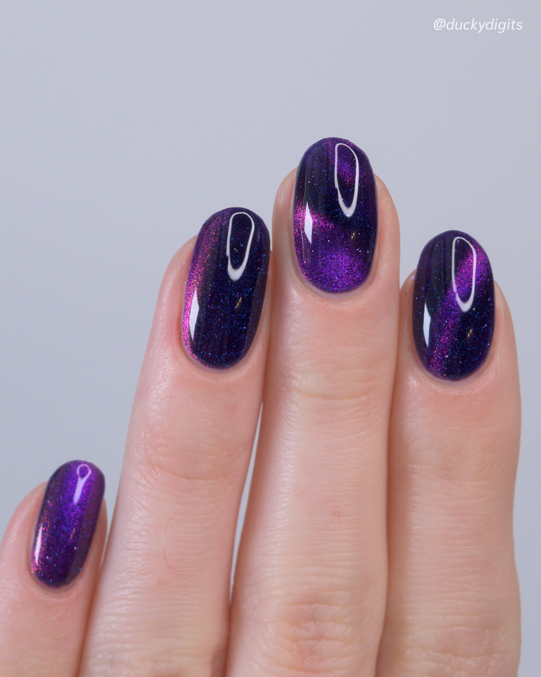 Kathleen & Co: Mardi Gras 2026 Collection royal studio 02