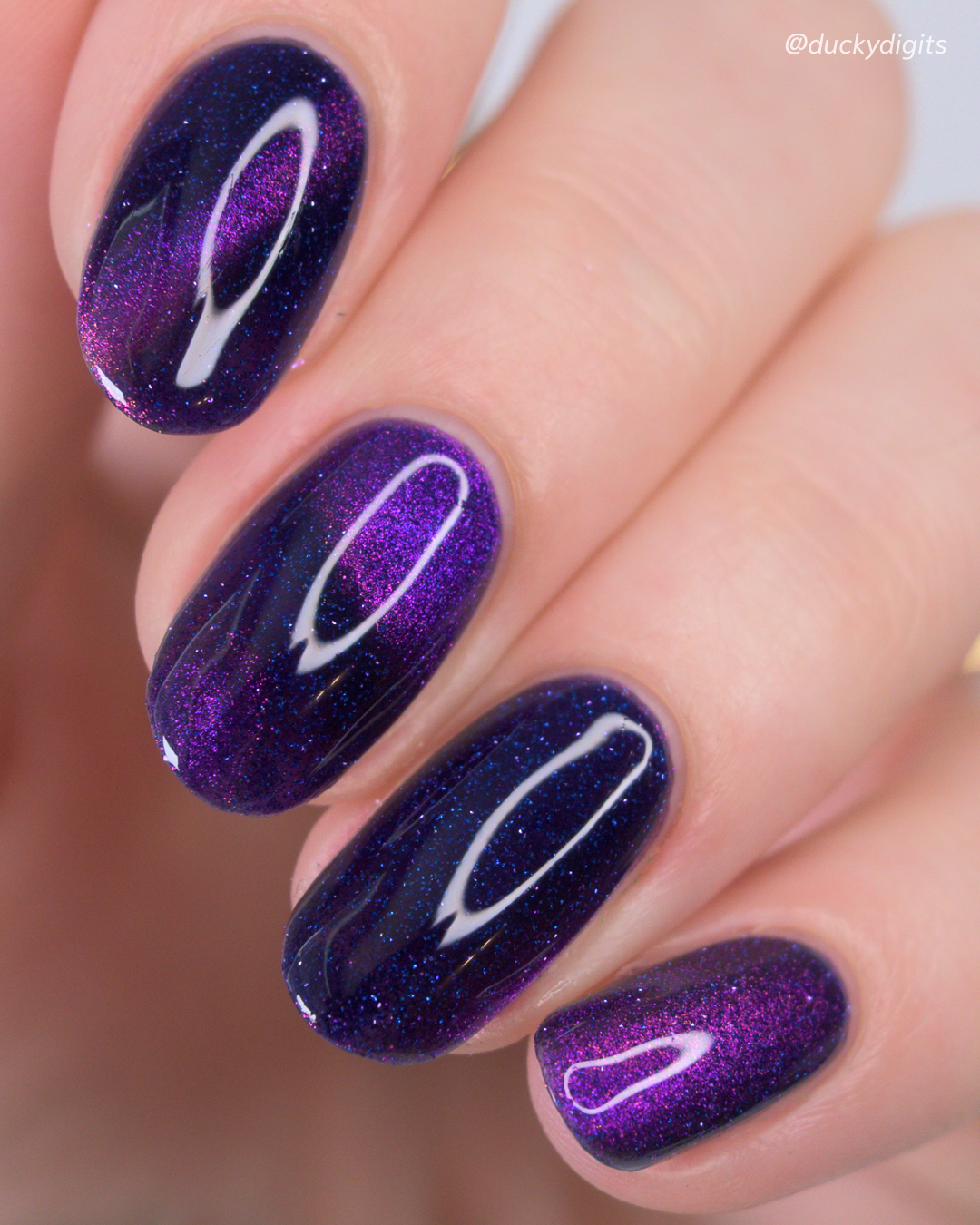 Kathleen & Co: Mardi Gras 2026 Collection royal studio 04